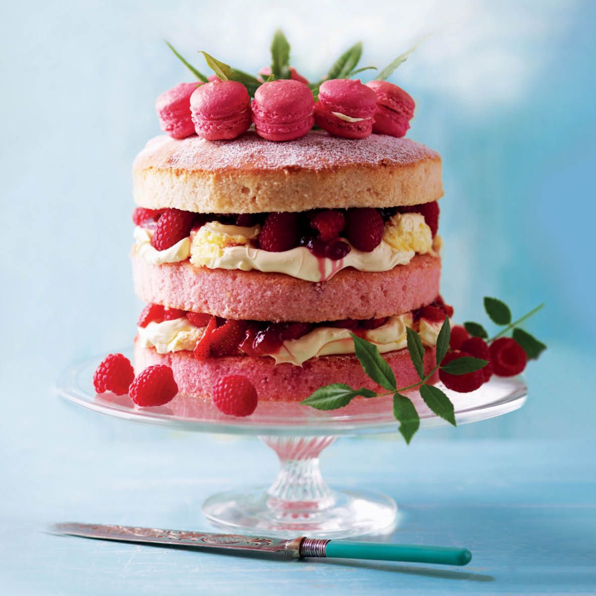 Valentine’s Berry and Macaron Cake.jpg