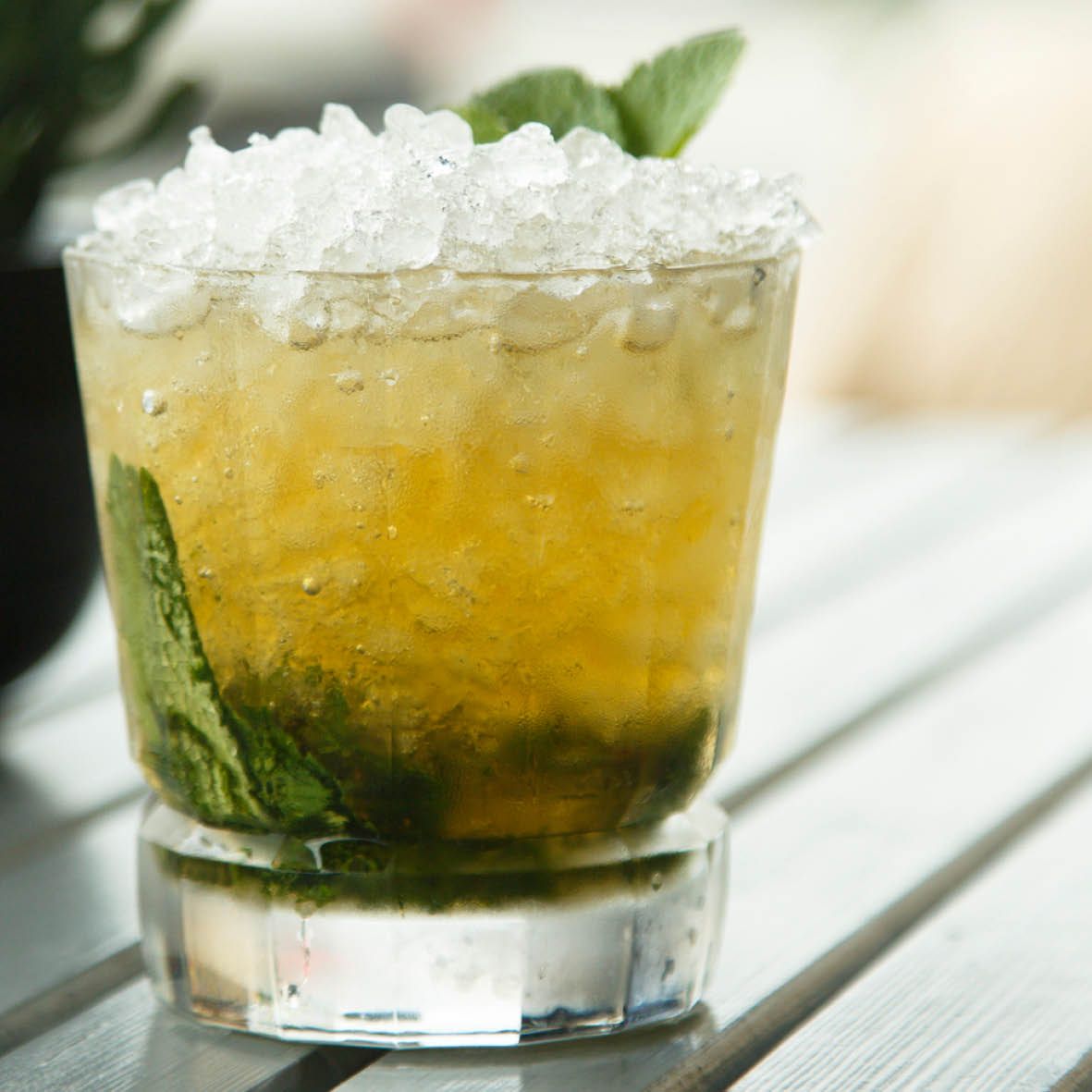 Mint Julep.jpg