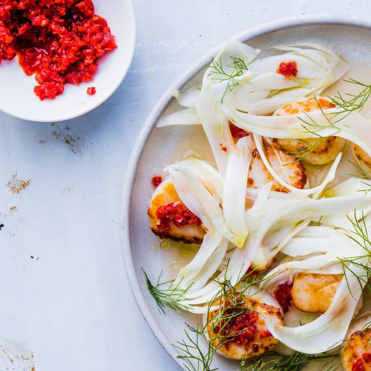 seared scallops with red chile paste and fennel salad.jpg