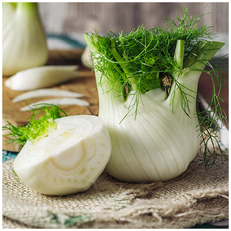 The Five and Five of Fennel .jpg