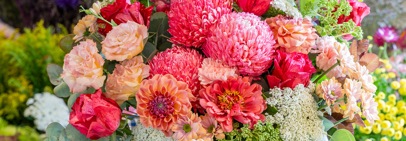 Hill Street Flowers