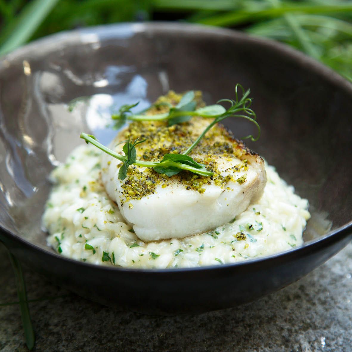 Lemon and Chive Risotto with Herb Crusted Pink Ling.jpg