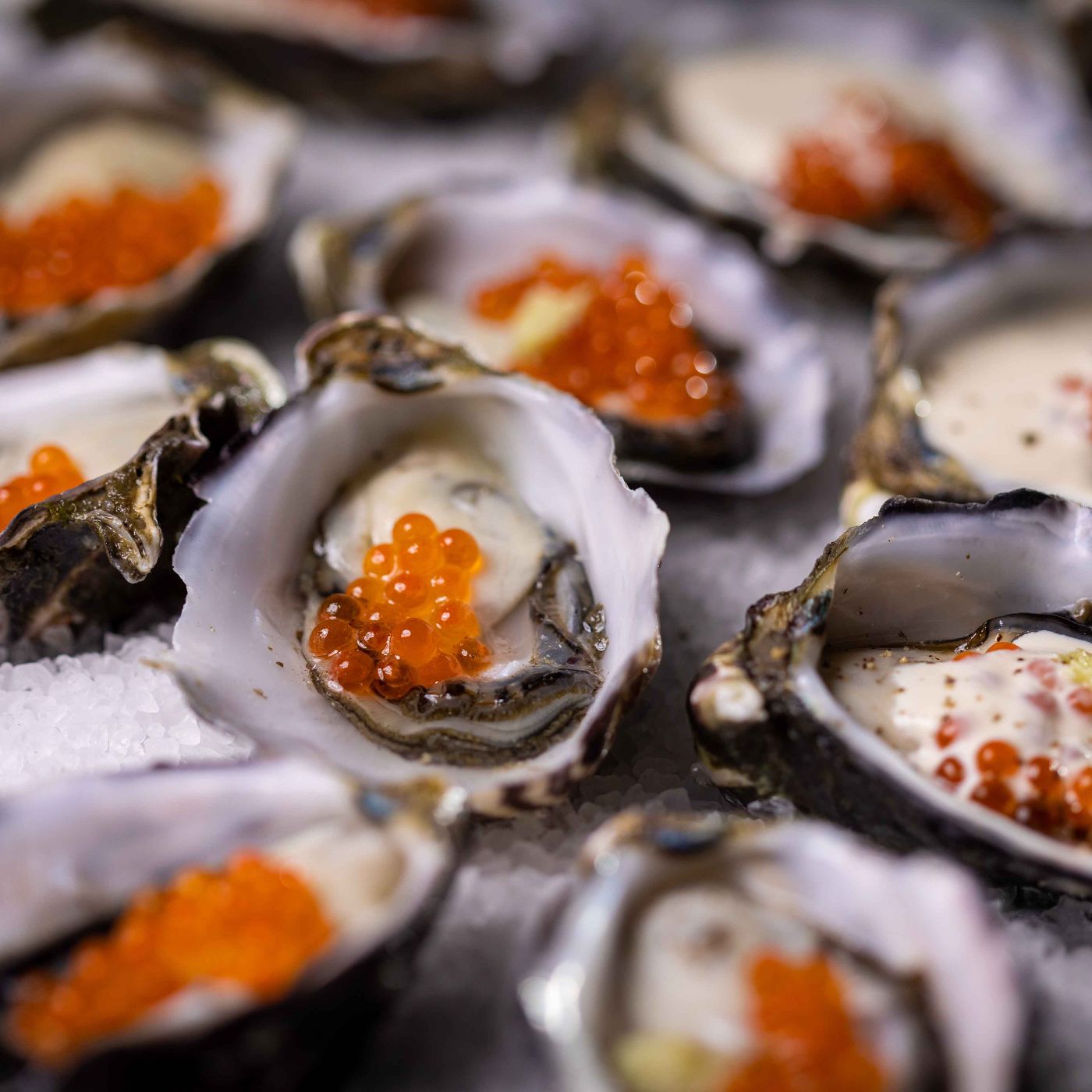 135_Oysters_with_horseradish-6_square.jpg