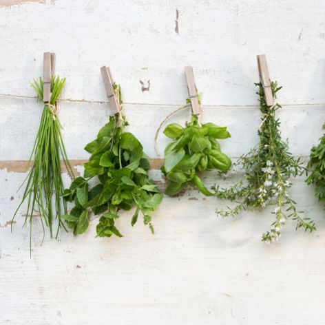 How to save fresh herbs to use later - 3.7.192.jpg