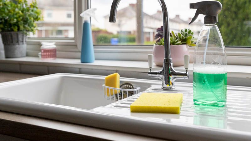 Why Your Kitchen Sponge Is the Ideal Breeding Ground for Bacteria