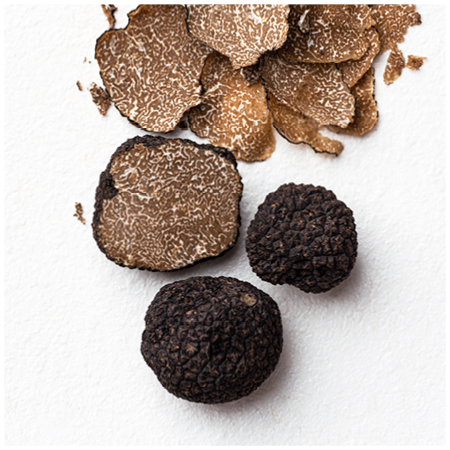 French Black Winter (Périgord) truffles 2.jpg
