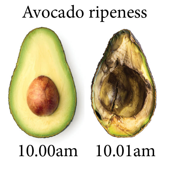 How To Store Ripe Avocados To Keep Them Fresh For Days