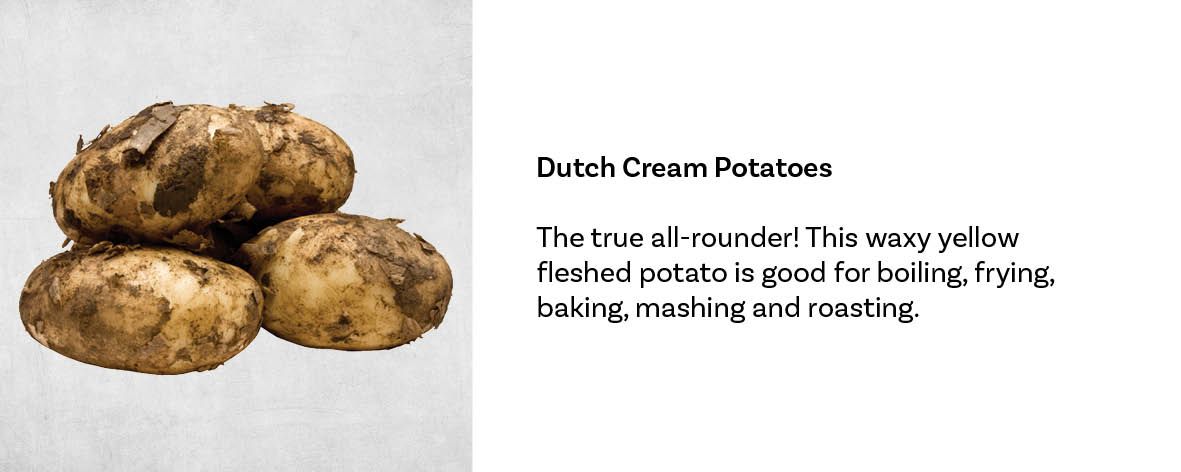 Dutch Cream potatoes