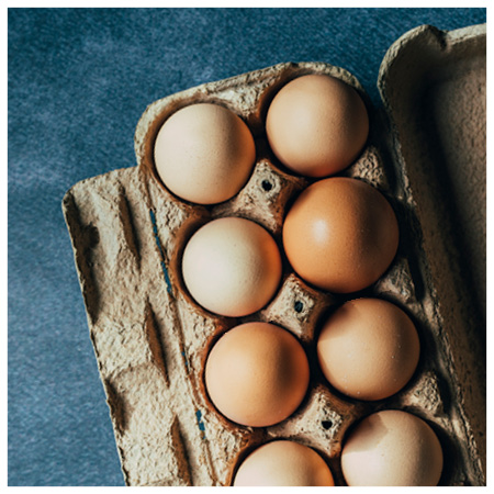 Eggs.jpg
