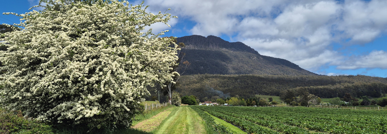 EcoHarvest Tasmania farm in Liffey Valley