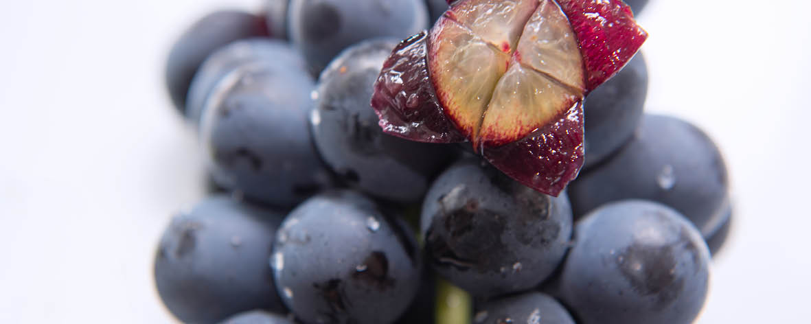 How is grape skin extract made?