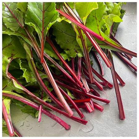 Beetroot leaves are highly nutritious and can be used exactly the same way as you would use chard, spinach, silver beet or kale – wilted or steamed.