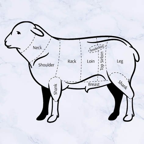 All you need to know about lamb … our guide.jpg