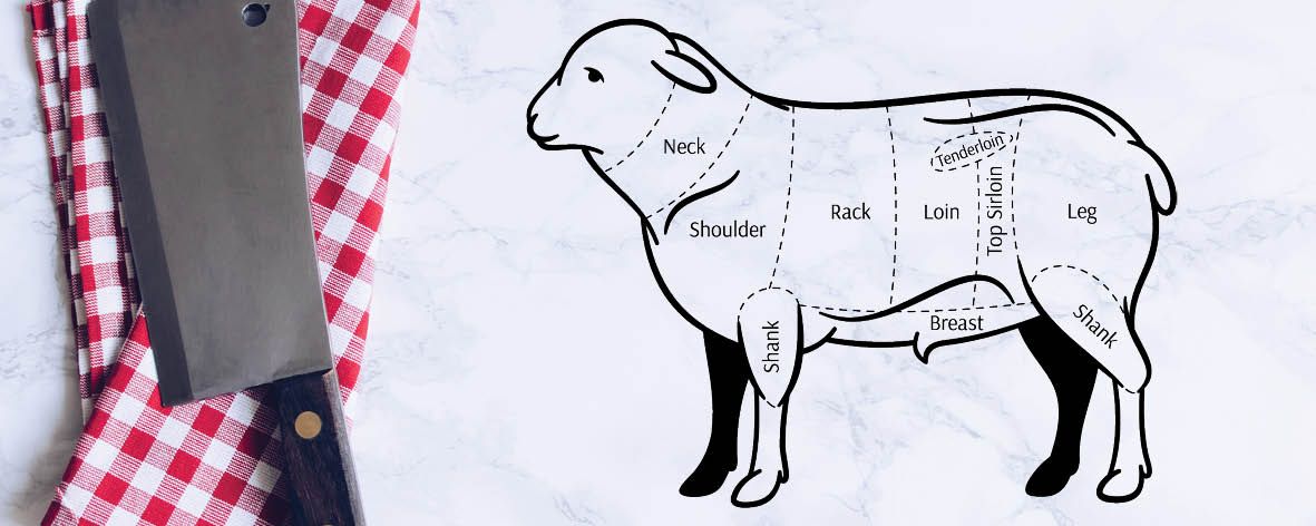 All you need to know about lamb … our guide2.jpg