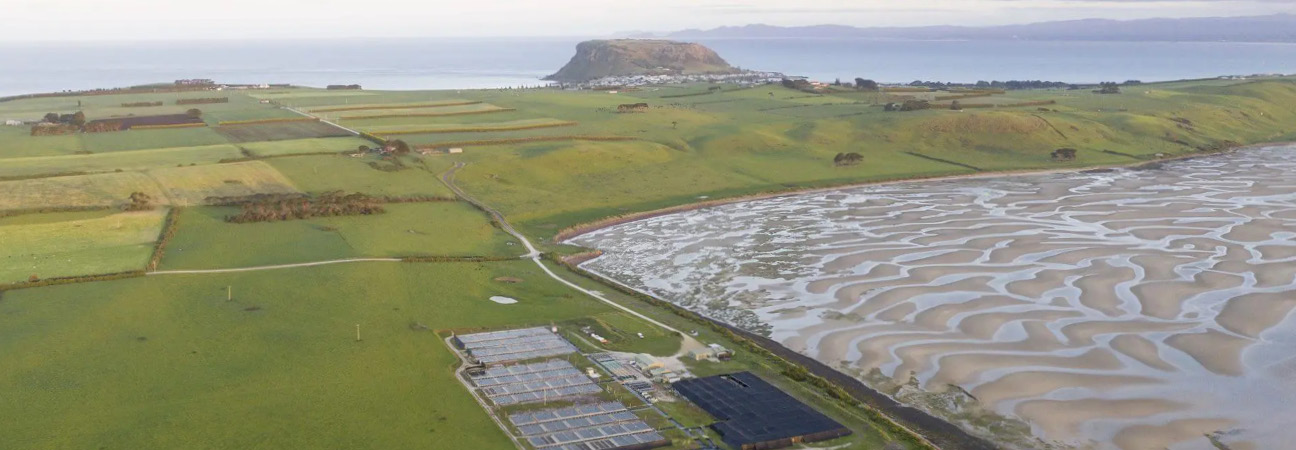 Three Friends Abalone farm in Stanley, where they are nourished by the pristine waters of west Tasmania.