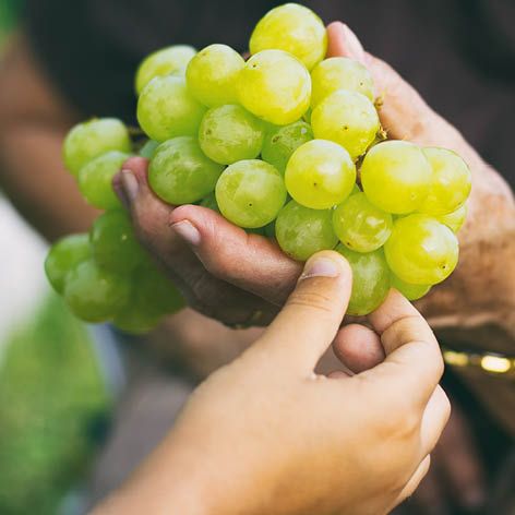 6 reasons you should be eating grapes.jpg