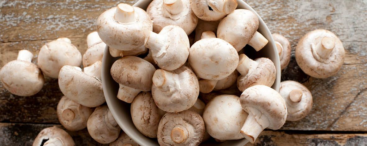 All you need to know about … Button Mushrooms2.jpg