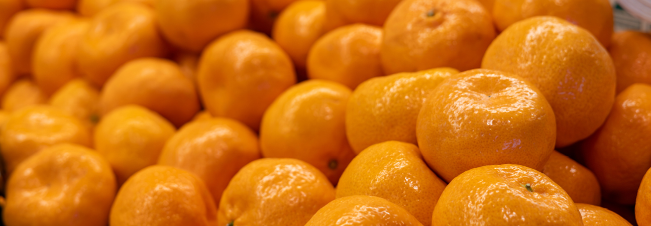 Wonderful Winter Citrus at Hill Street Wonderful Winter Citrus at Hill Street