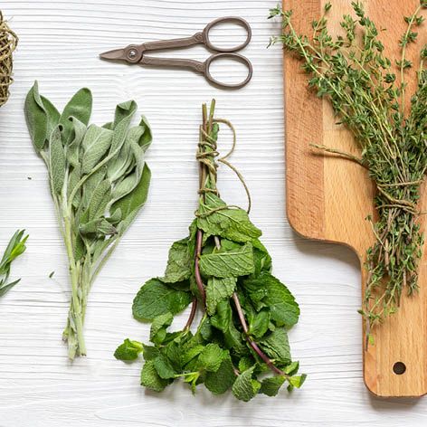 How to dry fresh herbs in the microwave … kitchen helper.jpg