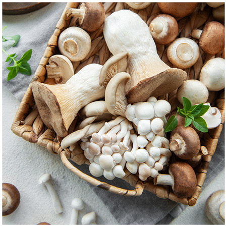 Mushrooms are very nutritious – they’re high in fibre, low in calories and contain essential vitamins and minerals Mushrooms are very nutritious – they’re high in fibre, low in calories and contain essential vitamins and minerals