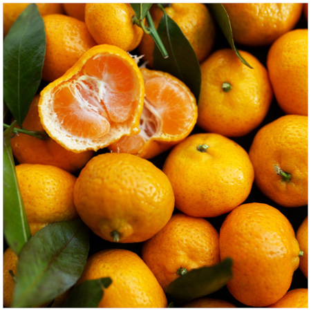 Mandarins.jpg