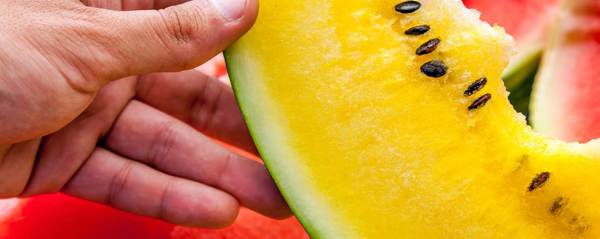 Yellow watermelon