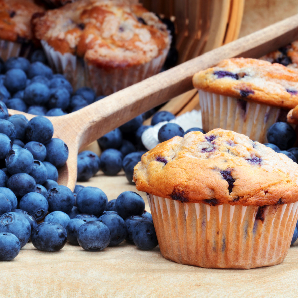 blueberry avocado muffins.jpg