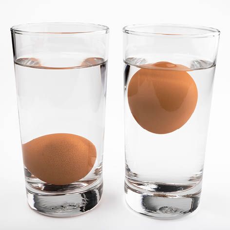 How to test if eggs are fresh … kitchen helper.jpg